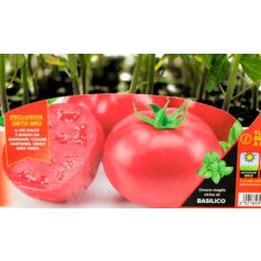 Paradicsom kerek Honey Moon F1 palánta 6 db-os tápkockás