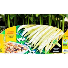 Bab törpe Cannellino palánta 12 db-os tápkockás