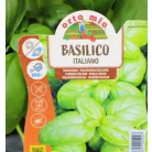 Bazsalikom klasszikus Chiara 10 cm cseré