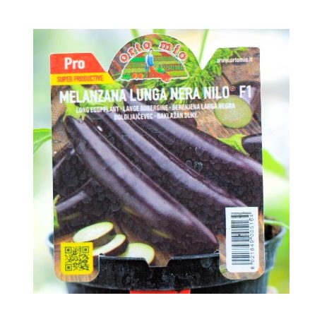 Padlizsán hosszú fekete Nile F1 palánta