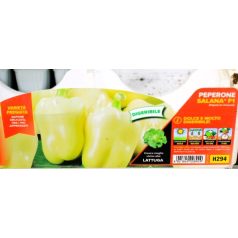 Emészthető pap. Citrine Spartaco palánta