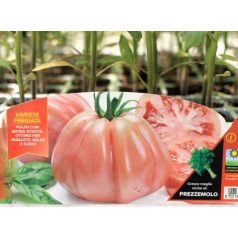 Ökörszív paradicsom Rosamunda F1 palánta