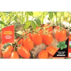 Szilvaparadicsom Orange Sunset palánta 6 db-os tápkockás