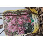 Kínai selyemmirtusz LAGERSTROEMIA INDICA IN VARIETA CLT. 3