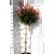 Korallberkenye törzses Photinia x fraseri 'Red Robin'CLT. 18 HALF STANDARD