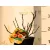 Füge Ficus válogatás carica CLT. 3