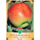 Alma, Fuji Malus Domestica FUJI CLT. 6 MF