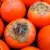 Datolyaszilva Diospyros Kaki Rojo Brillante CLT. 6 MF