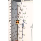 Datolyaszilva Diospyros Kaki Rojo Brillante CLT. 6 MF