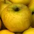 Belchard alma MALUS DOMESTICA BELCHARD CLT. 6 HALF STA konténeres gyümölcsfa
