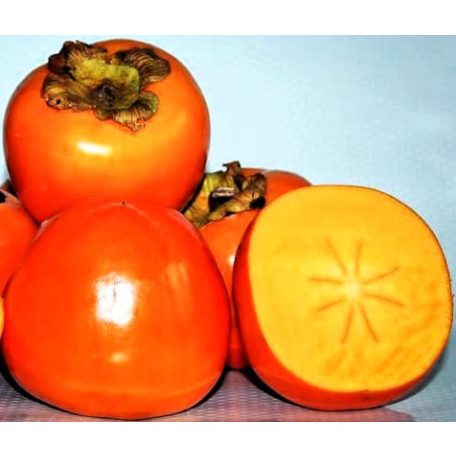 Datolyaszilva Rojo Brillante Diospyros kaki LV 12 HALF STANDARD