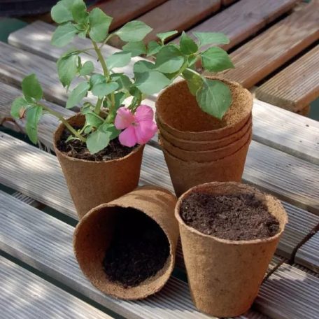 Nortene Growing Pots tőzegcserép 6 cm 