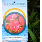 Leander Nerium oleander P.45