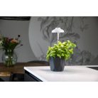 Növénytermesztő LED lámpa USB csatlakozóval. fehér