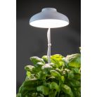 Növénytermesztő LED lámpa USB csatlakozóval. fehér