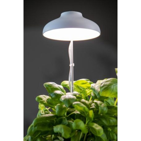 Növénytermesztő LED lámpa USB csatlakozóval. fehér