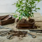 Fekete acél bonsai olló. 11 cm