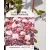 Bangitalevelű hólyagvessző Physocarpus opulifolius Lady In Red P17 cm