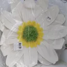 Virág akasztós papír 50cm fehér