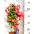 Murvafürt Bougainvillea Dania Pyramid 17 cm