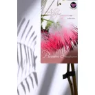 Selyemakác Albizia julibrissin 15 cm