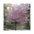 Higan-cseresznye Prunus subhirtella 'Autumnalis Rosea' TM120 C7.5