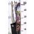 Futórózsa kékes lila 45-50 cm C2 lit