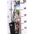 Futórózsa fehér 45-50 cm C2 lit.