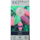 Szedermálna Rubus fruticosus × idaeus 'Tayberry' 55cm