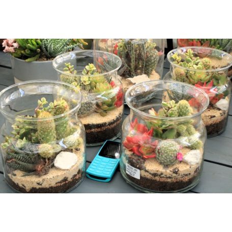 Terrarium style üvegben beültetés 17cm