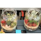 Kaktusz terrarium style üvegben beültetés 16 cm