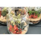 Kaktusz terrarium style üvegben beültetés 16 cm