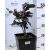 Oszlopos vérbükk Fagus Darwyck purple