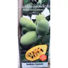 Indiánbanán