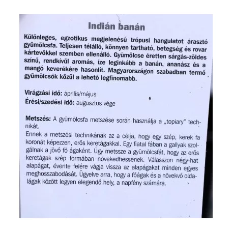 Indiánbanán