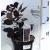 Bíbor cserszömörce Cotinus cog. Royal Purple 20 cm