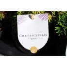 Örökzöld mix 5-10 cm P10.5