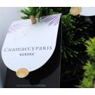 Örökzöld mix 5-10 cm P10.5