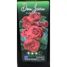 Rózsa Futórózsa Don Juan bokor 3 lk