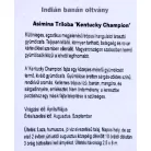 Indiánbanán oltott KISS Asimina Triloba
