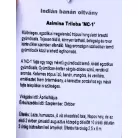 Indiánbanán oltott KISS Asimina Triloba