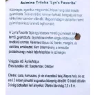Indiánbanán oltott KISS Asimina Triloba