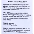 Indiánbanán oltott KISS Asimina Triloba