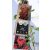 Piros futórózsa Rosa Red Climber P17 2Ltr 75cm