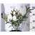 Korallberkenye rózsaszín tarkaleveleű PHOTINIA X FR PINK MARBLE K4 40/60