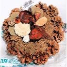 Toboz koszorú 20 cm átm