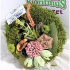 Moha koszorú 10 cm átm