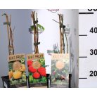 Málna- és szederválogatás Rubus mix P15