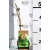 Csemegeszőlő Vitis Vroege van der Laan