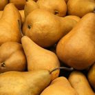 Bosc kobak körte szabadgyökerű gyümölcsfa